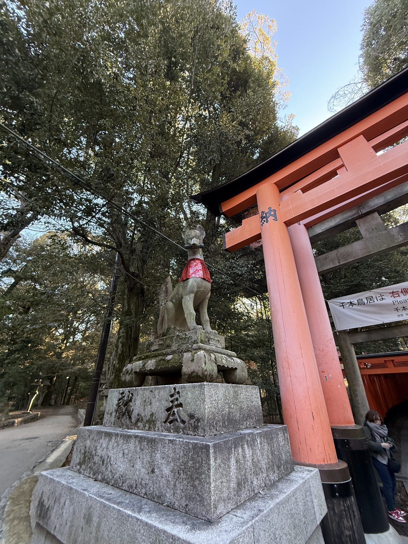 One of the foxes — Inari's messenger.