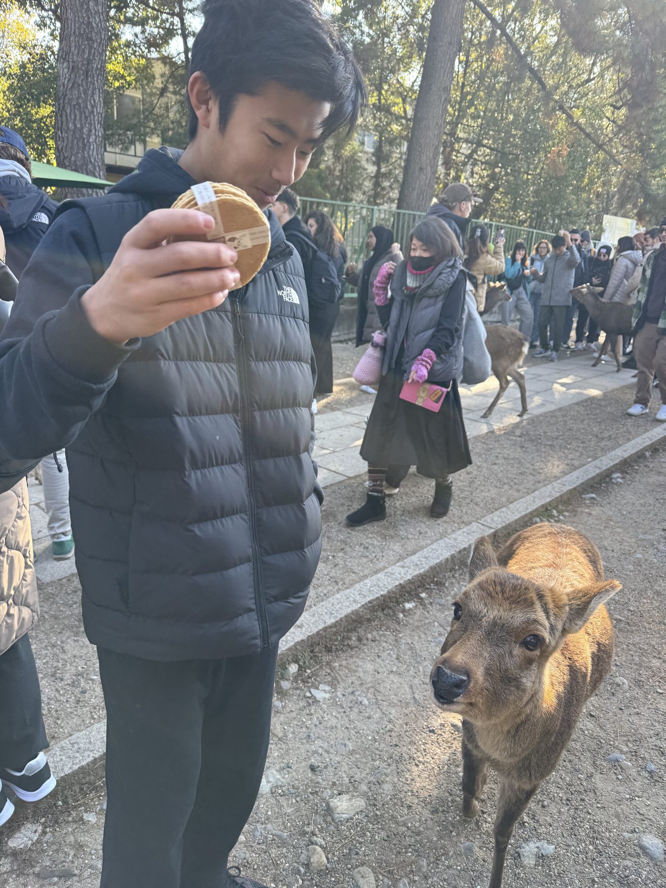 Japan 2025