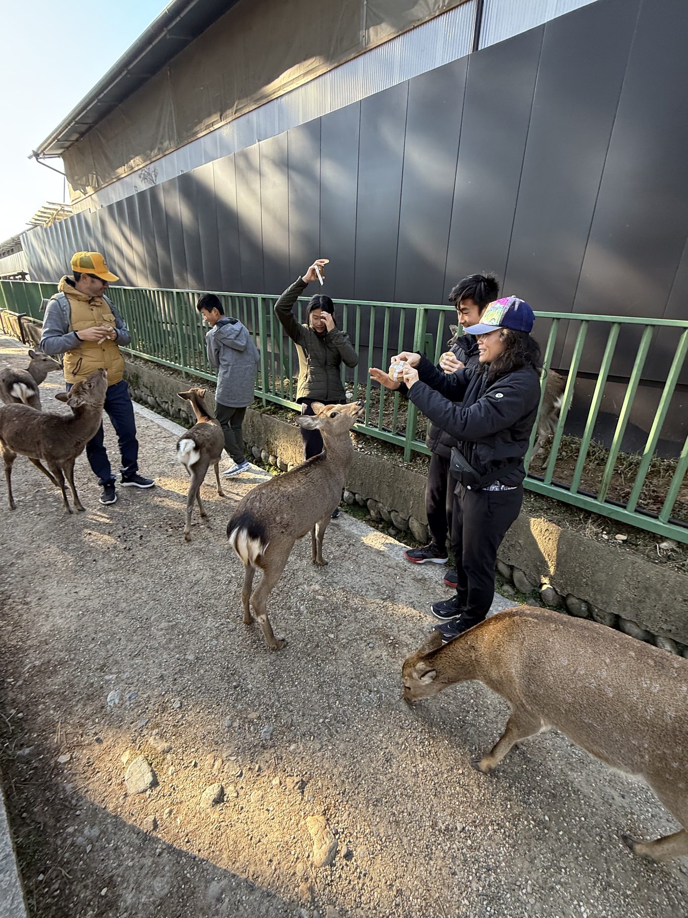 Japan 2025