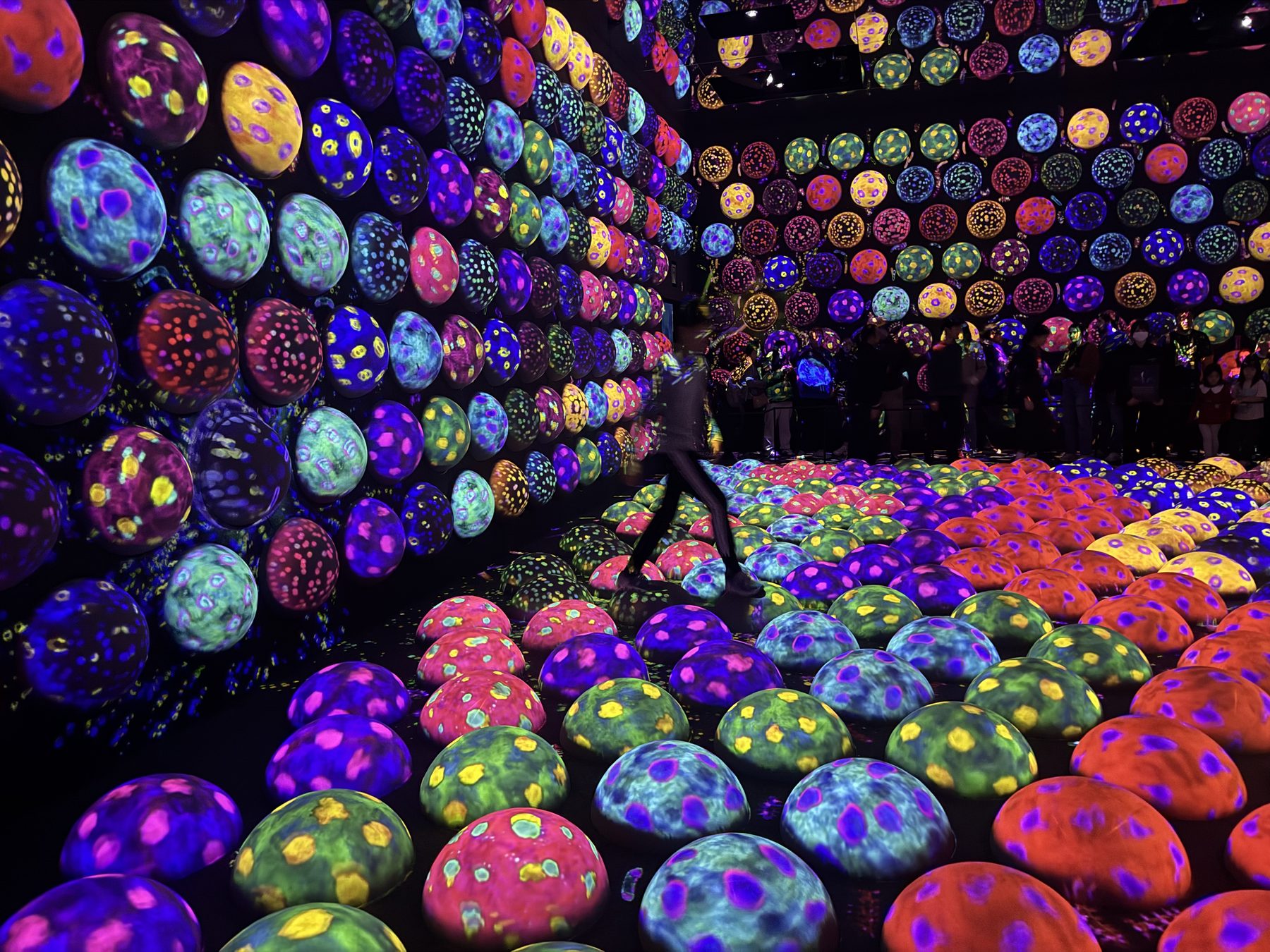 The egg room.