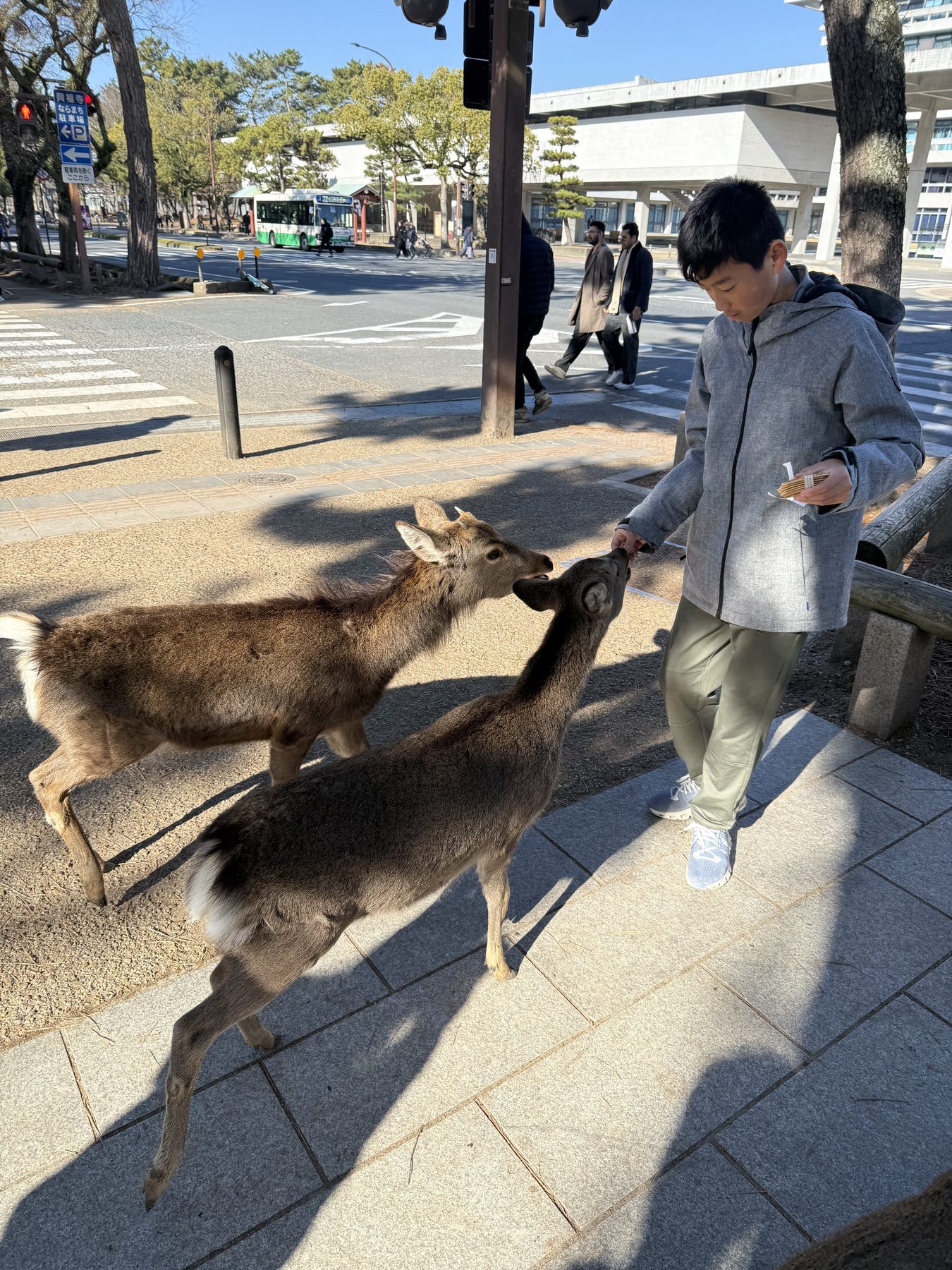 Japan 2025